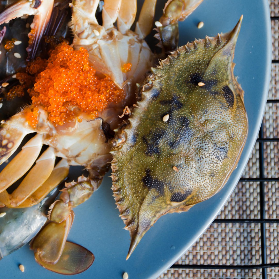 Seafood